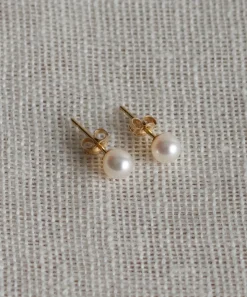 Hot Small Loren Pearl Studs Women Jewelry